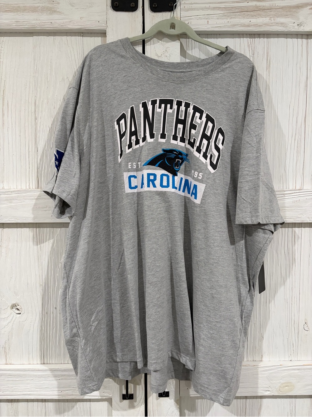 NFL Carolina Panthers Gray Graphic Tee with Blue Accents Tag 015